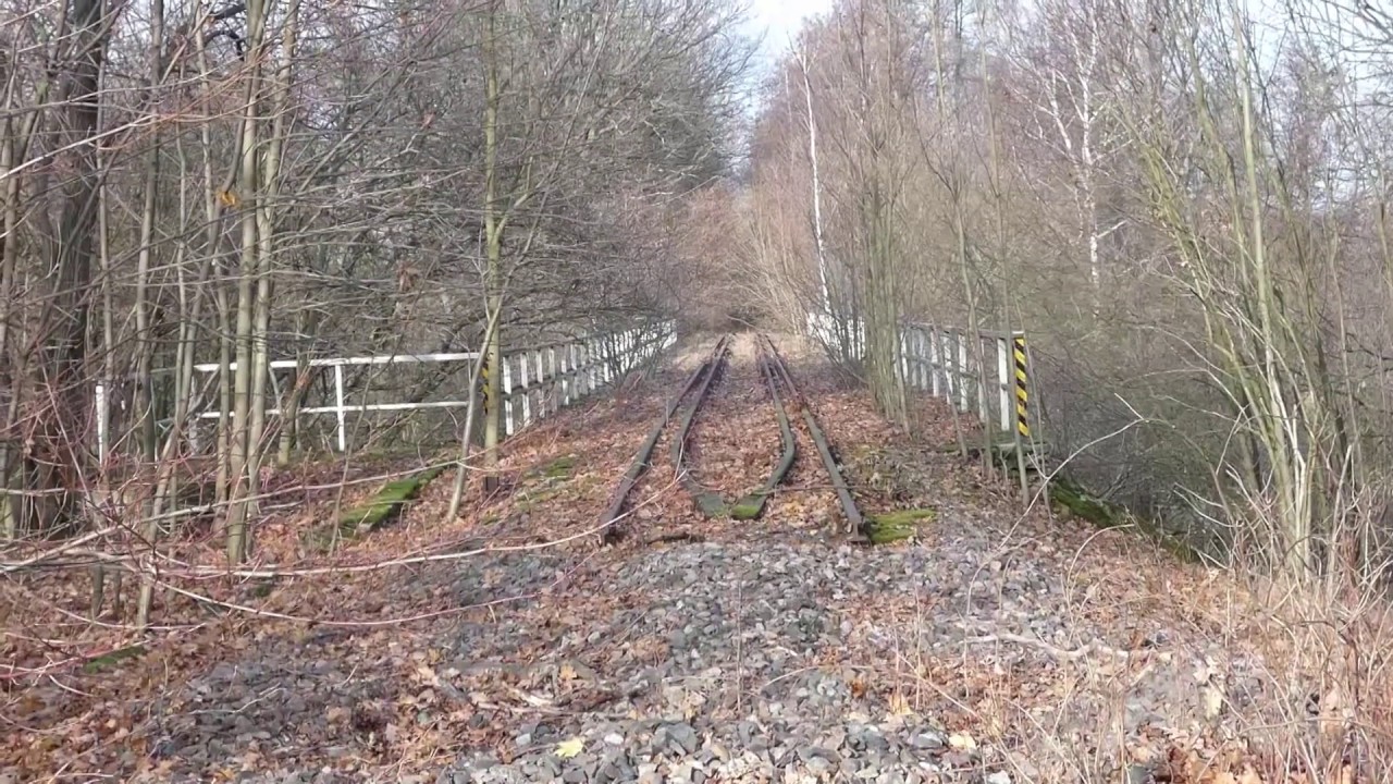Letztes Urteil wird in Neukirch erwartet - LAUSITZWELLE