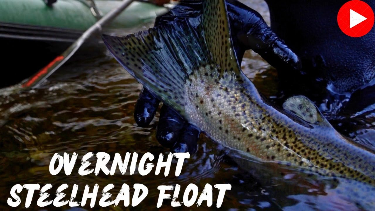 Michigan Steelhead Fishing | Overnight On The River | We HAMMERED Them!