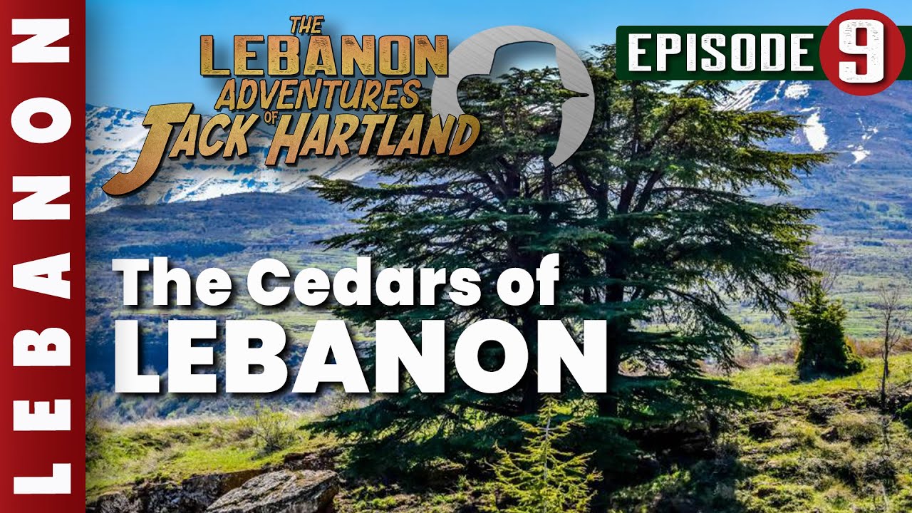 The Cedars of Lebanon - Episode 9