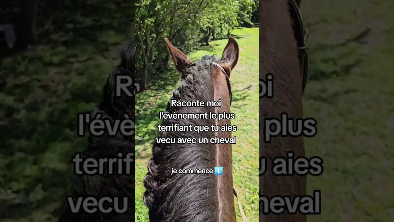 Et toi, quelle est ton histoire ? #cheval #equitation #peur #danger #accident #lorenetvlan