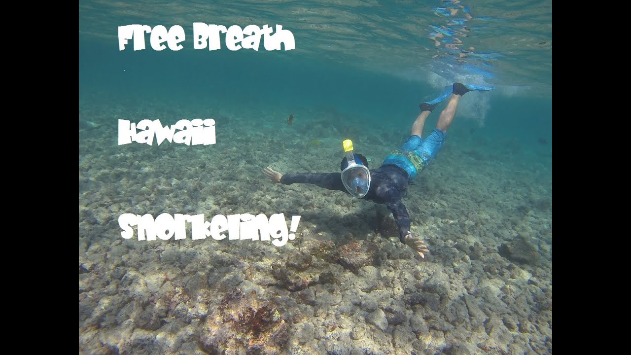 Big Island FreeBreath TheNice Snorkel Mask