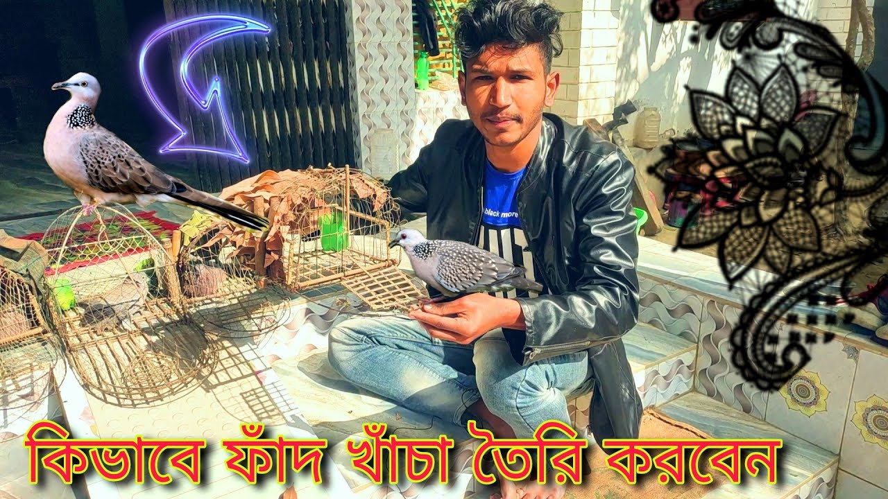 How to make a dove trap?ঘুঘু পাখি ধরার সহজ ফাঁদ বানানো/ঘুঘু পাখির ফাঁদ খাঁচা তৈরি করবেন কিভাবে?