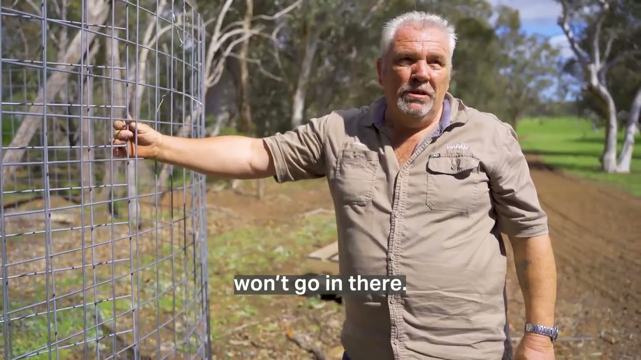 How to make a figure 6 pig trap