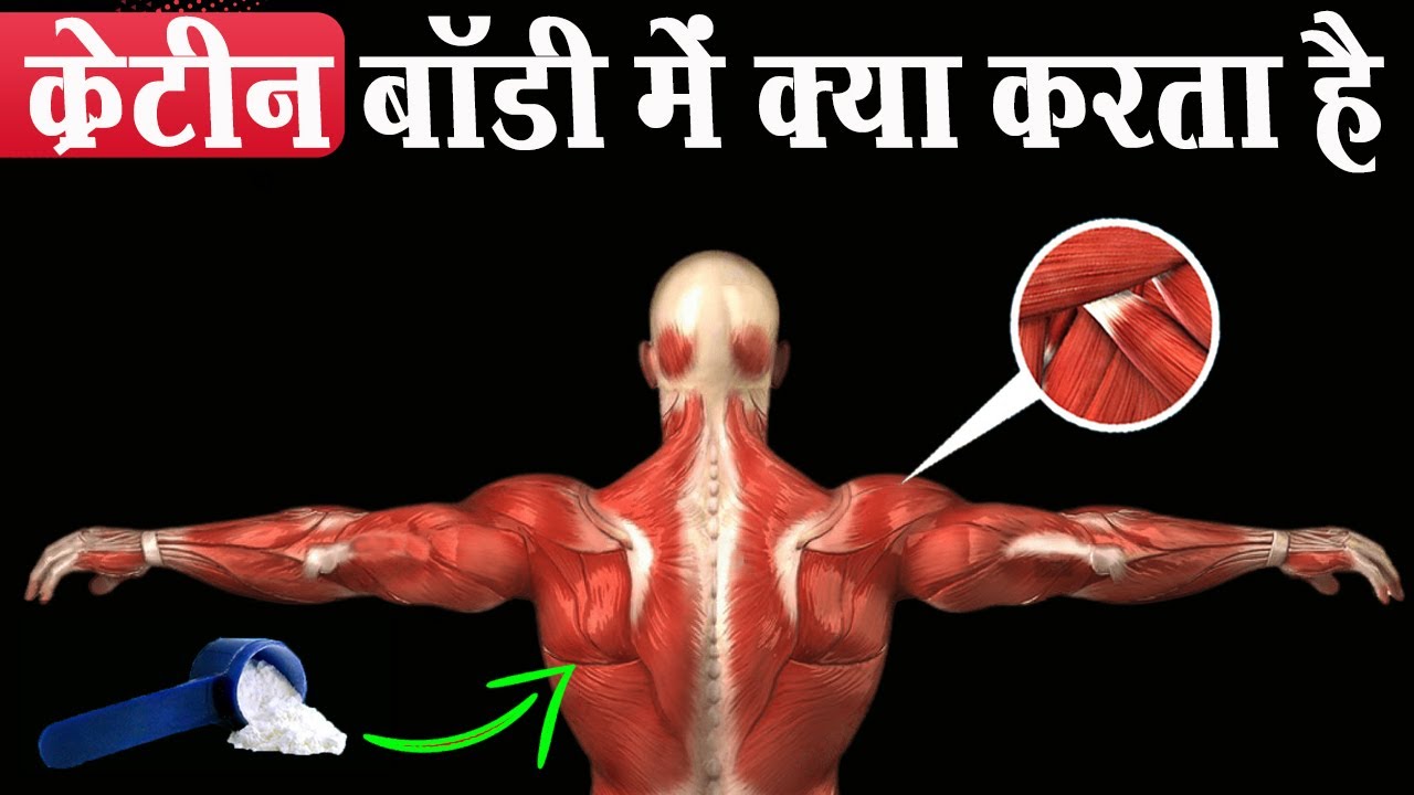 30 दिन क्रेटीन लेने से बॉडी मे क्या होगा | What Happens to Your Body On Creatine?