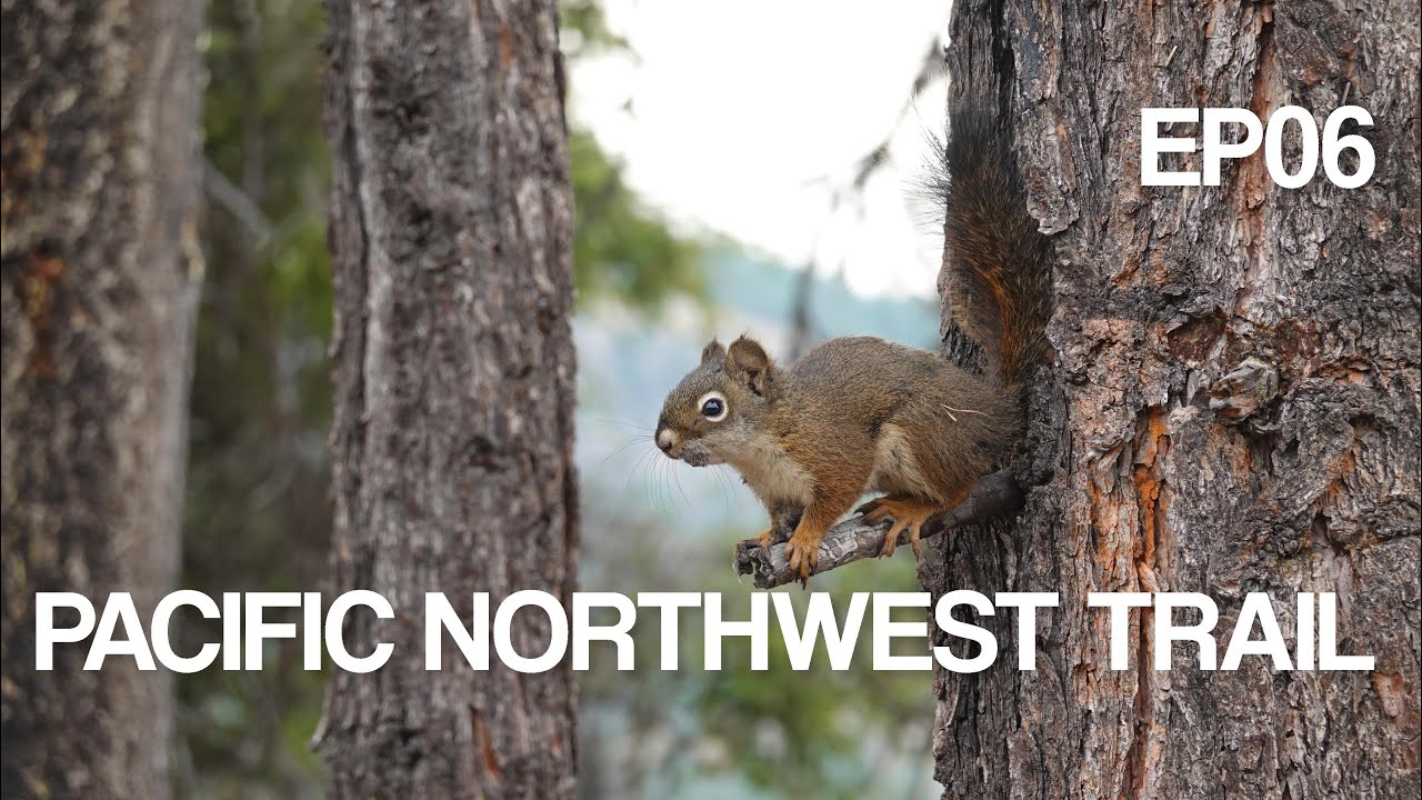 Pacific Northwest Trail EP06 || Złamany ząb, dentysta na Dzikim Zachodzie i wybory w USA