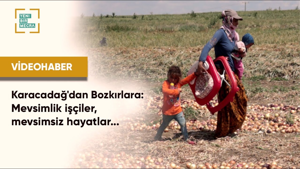 Karacadağ'dan Bozkırlara: Mevsimlik işçiler, mevsimsiz hayatlar...