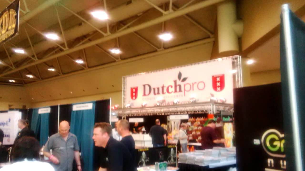 Champs Trade Show Canada 2014 Toronto Canibus Trade Show Treat Yourself Expo