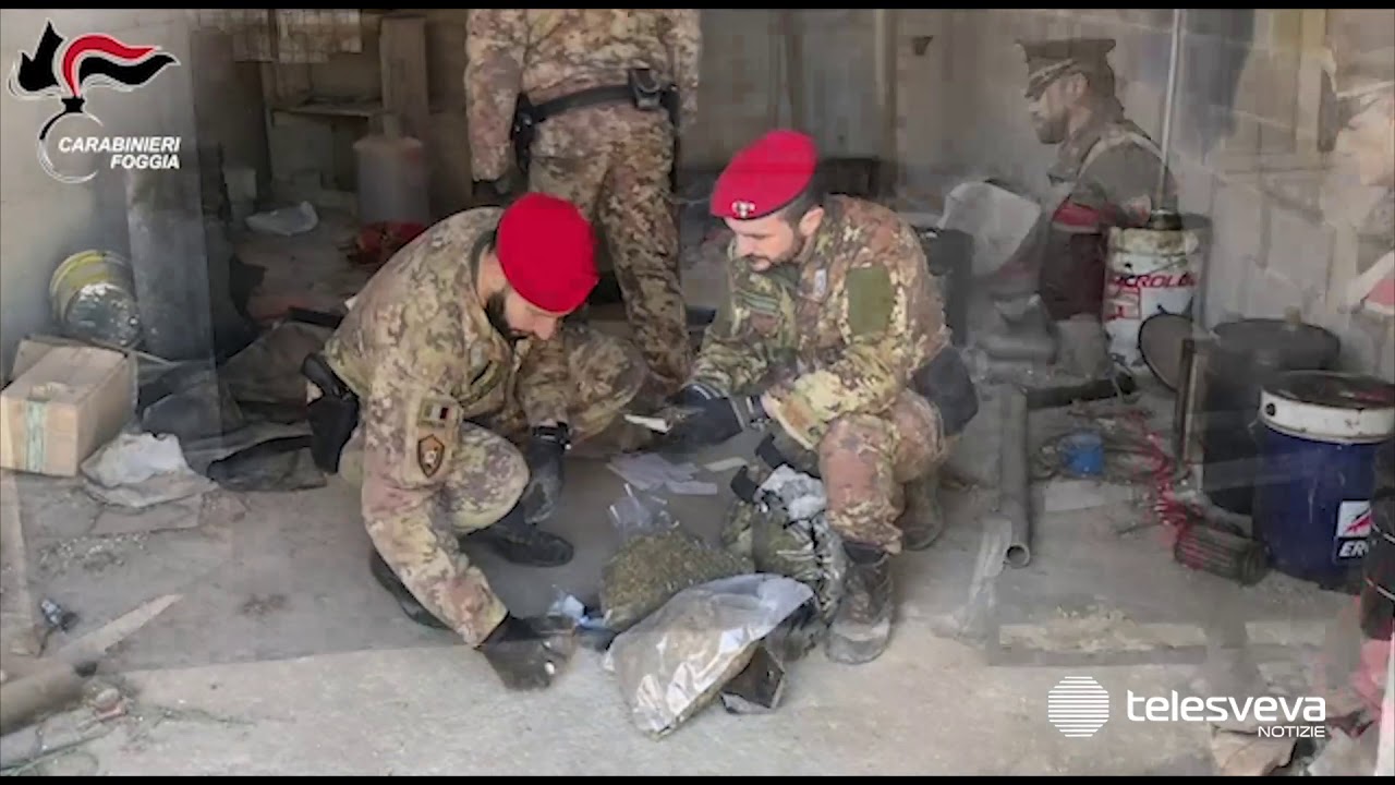CERIGNOLA | Il deposito della mafia in una ex azienda: sequestro di droga, armi e munizioni