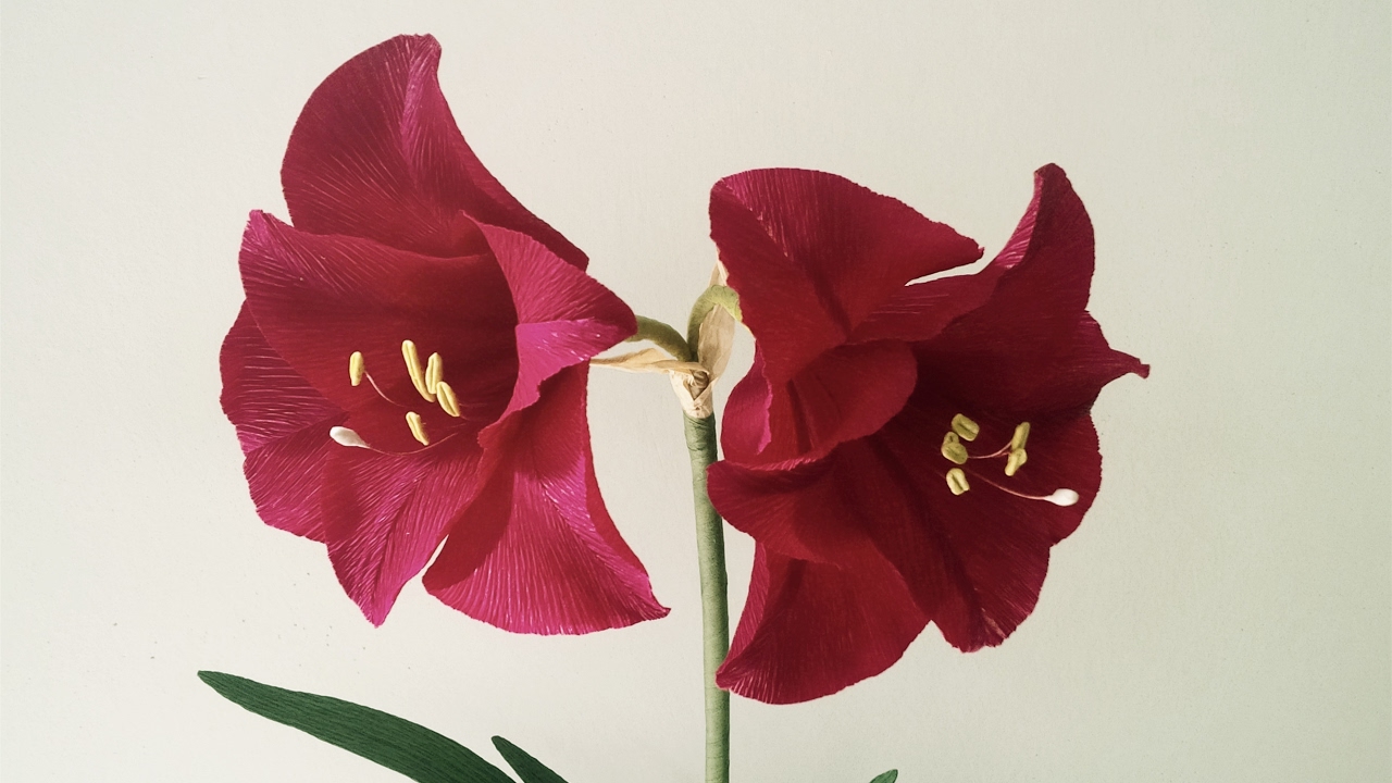 ABC TV | How To Make Amaryllis Paper Flower From Crepe Paper - Craft Tutorial