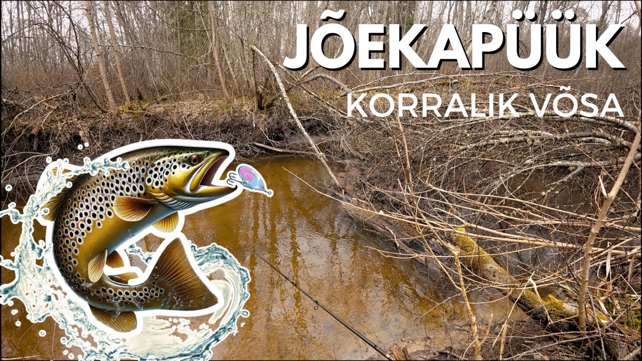 J&otilde;ekap&uuml;&uuml;k I Forellip&uuml;&uuml;k retsis v&otilde;sas 2025 (J&otilde;eforell)