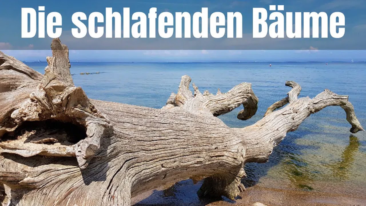 Naturph&auml;nomen und Fotospot am Strand von Loissin / Vorpommern-Greifswald
