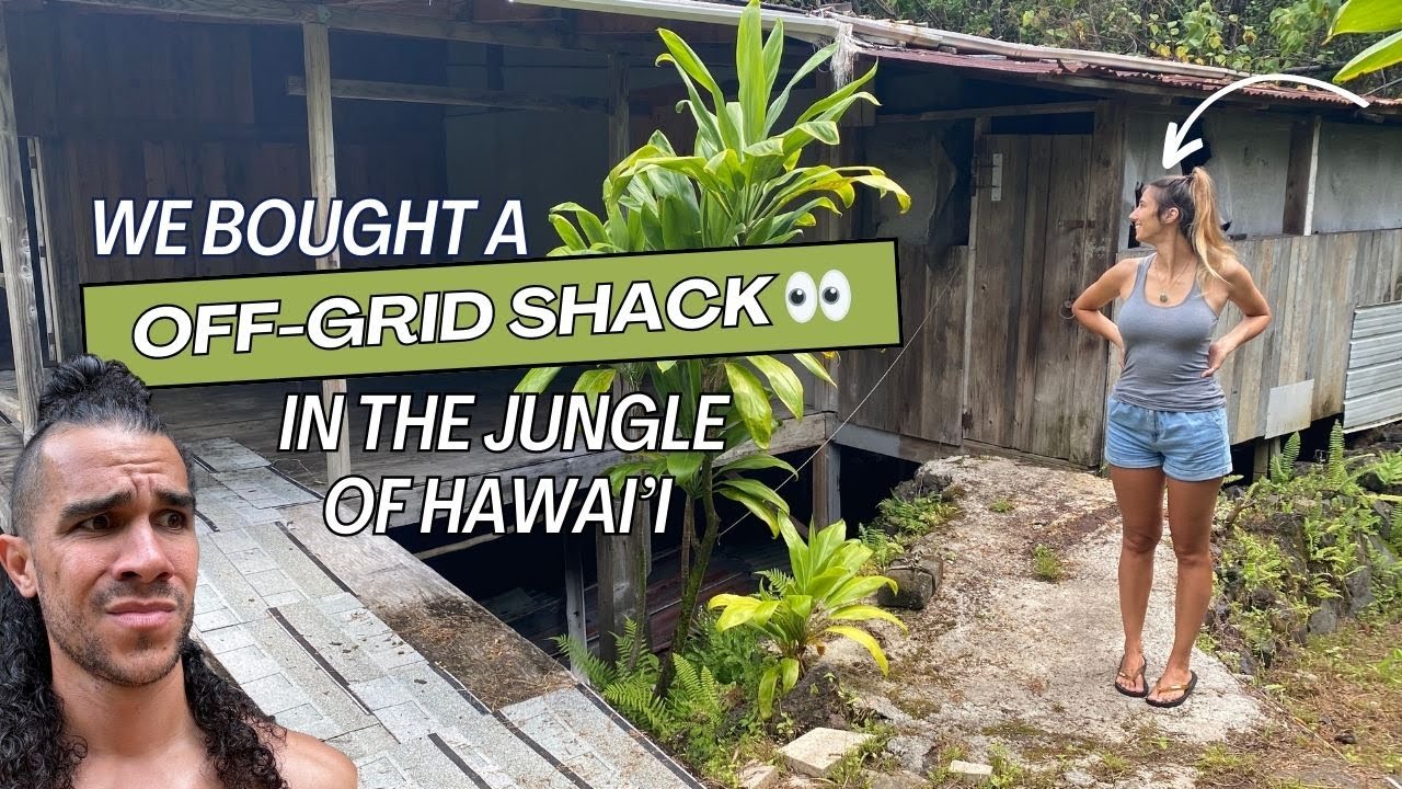 We bought an OFF GRID Shack in the JUNGLE OF HAWAI'I