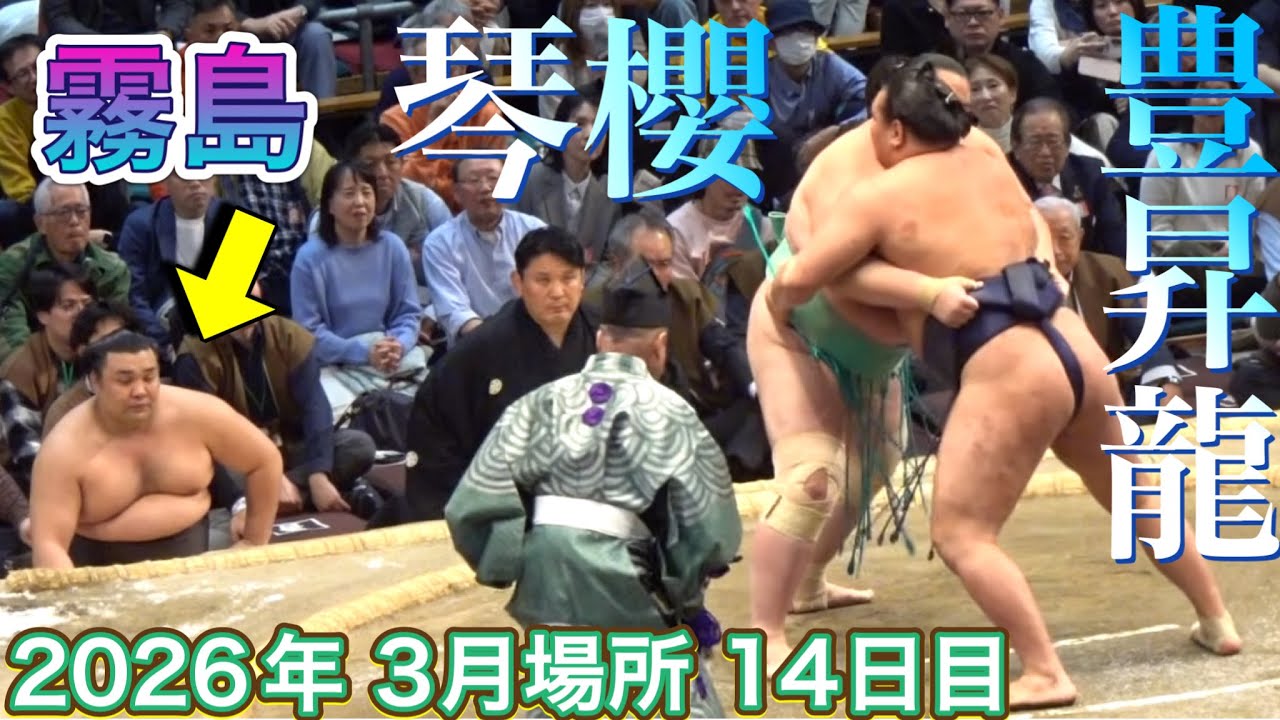 『豊昇龍が負けたら霧島優勝 霧島の表情付き』豊昇龍vs琴櫻【大相撲令和8年3月場所】14日目 大阪場所HOSHORYU KOTOZAKURA【SUMO OSAKA DAY14】