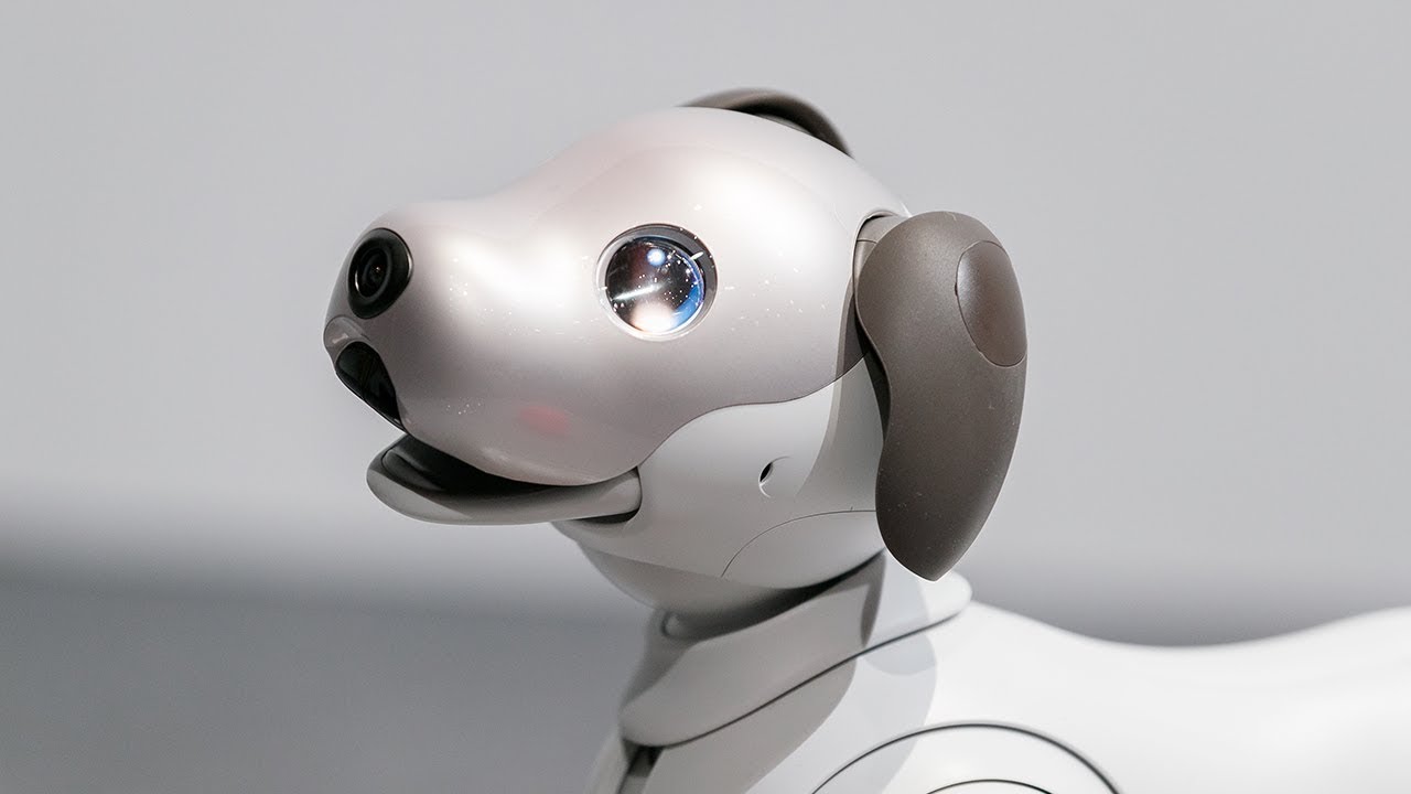 Sony presents new Aibo robot