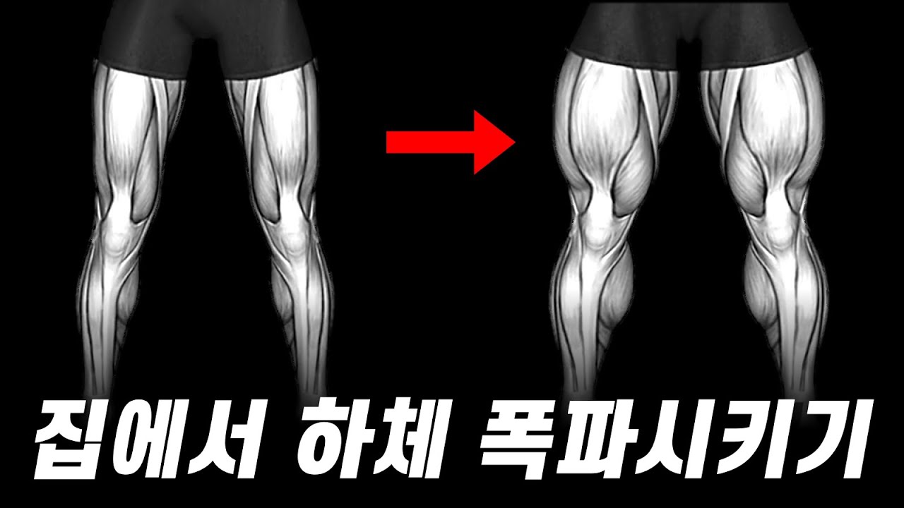 집에서 '딱 15세트'로 강하고 단단한 하체 만드는 방법