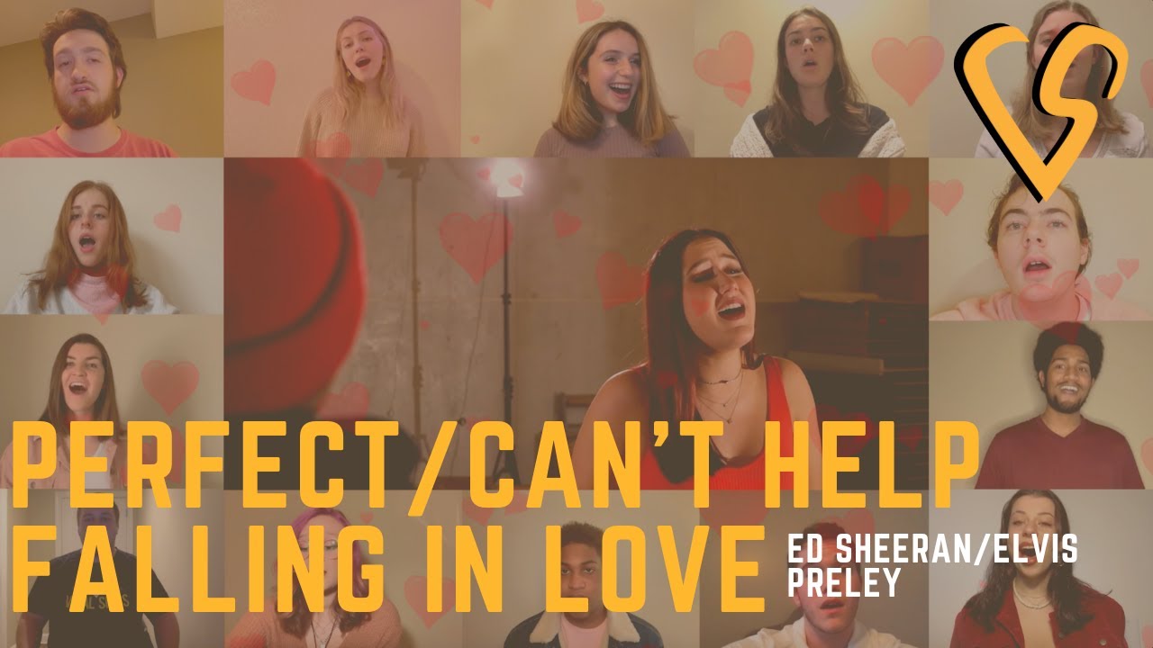 Perfect/Can't Help Falling In Love - Vital Signs A Cappella