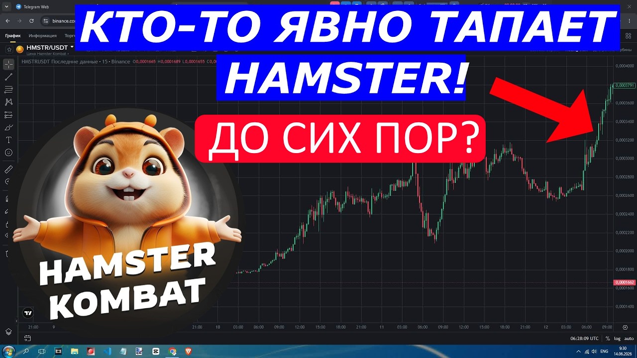 КТО ТО ЯВНО ТАПАЕТ HAMSTER KOMBAT ? УЖАС! (ЭТО ШУТКА КОНЕЧНО)
