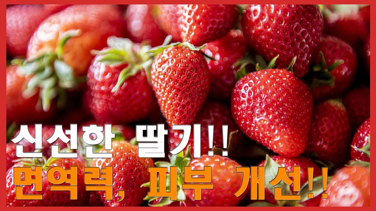 딸기로 건강 챙기기! 맛과 영양을 동시에 잡는 비결 공개