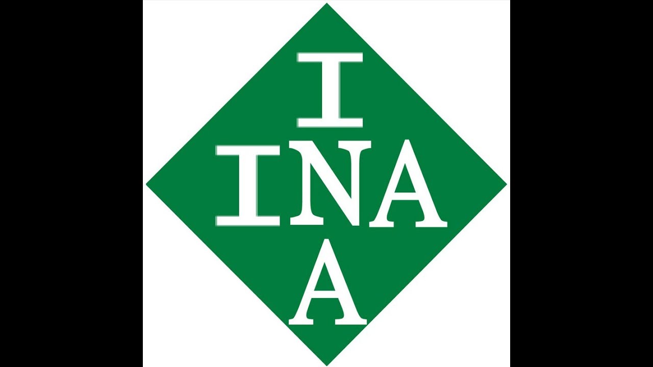 Настоящая INA и Параллельный импорт
