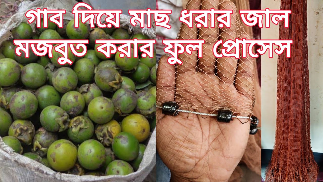জাল মজবুত ও টেকশই করার সহজ উপায়! 🌟 | জালে গাব ফল ব্যবহার পদ্ধতি ✅ |The Life Adventure and Technique