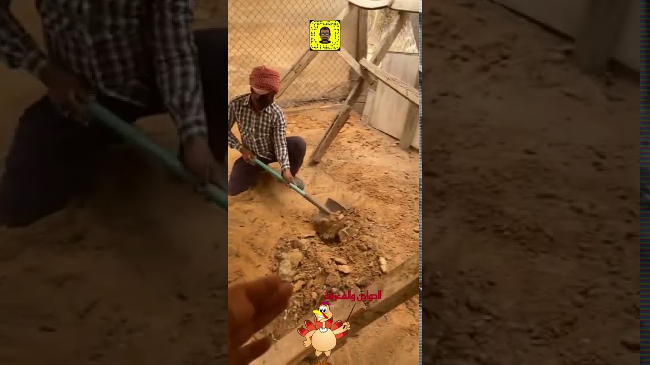 يومياتي في المزرعة/تنظيف حول حظائر الدجاج