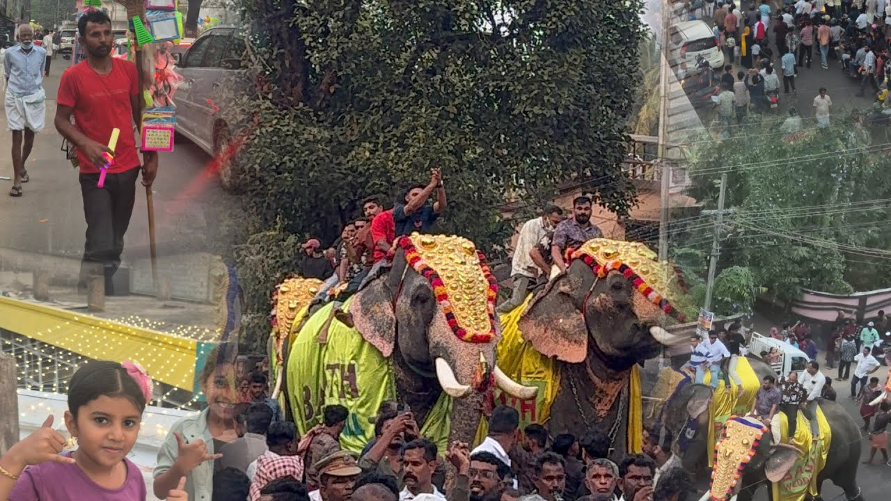Puthiyangadi nercha 🐘❤️#pooram#nercha#elephant