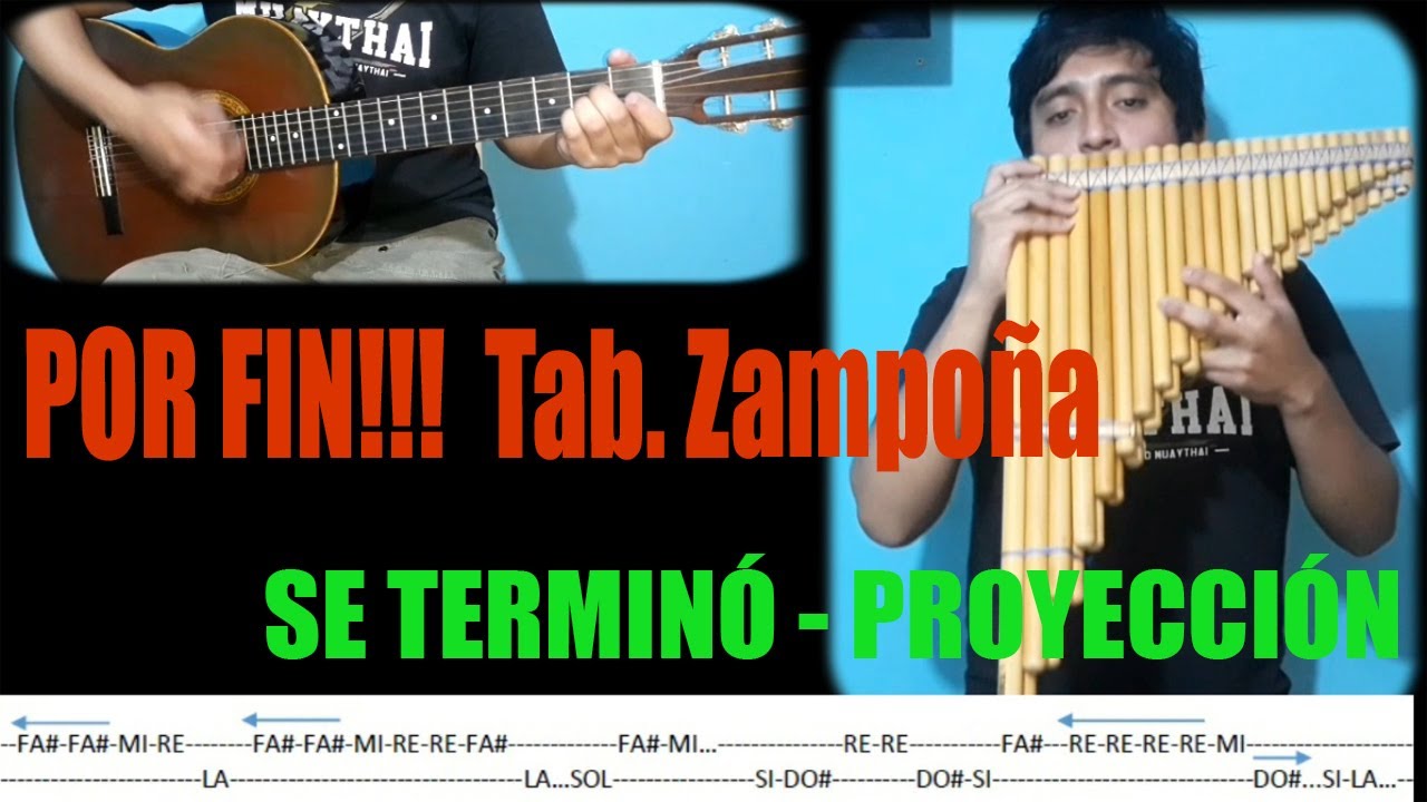 Como tocar - Se Terminó - Proyeccion - Cover Zampoña - Guitarra