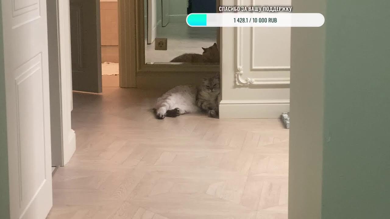 Вечер 1 января