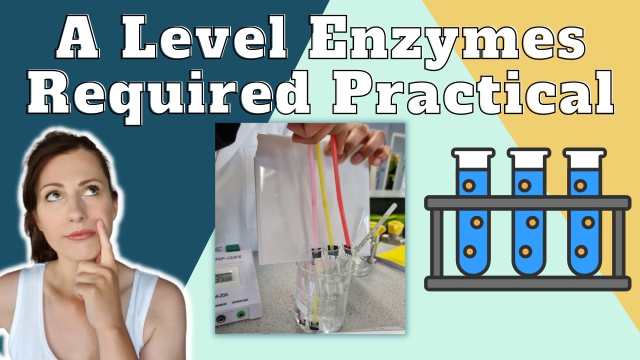 Enzymes Required Practical - A level Biology.  The effect of a variable on the rate of reaction