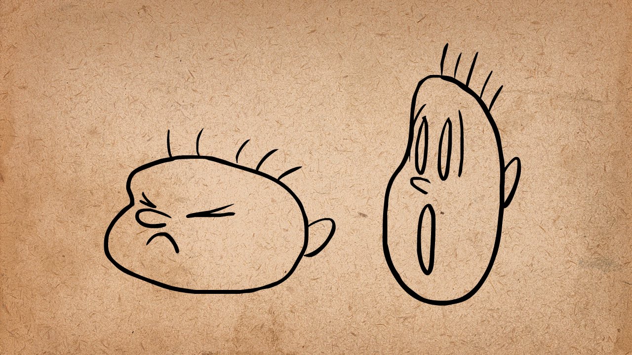 1. Squash & Stretch - 12 Principles of Animation