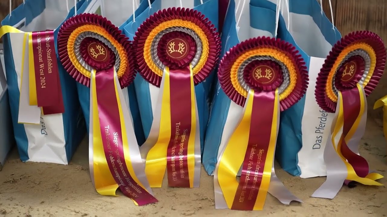 Trakehner Fohlenchampionat West 2024