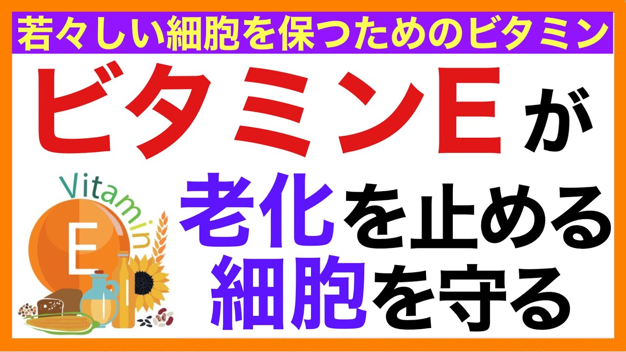 ビタミンEの健康効果［含まれる食べ物、推奨摂取量］ビタミンE/効果/食べ物
