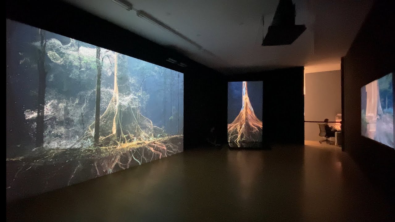 Marshmallow Laser Feast : Entwined | Bitforms
