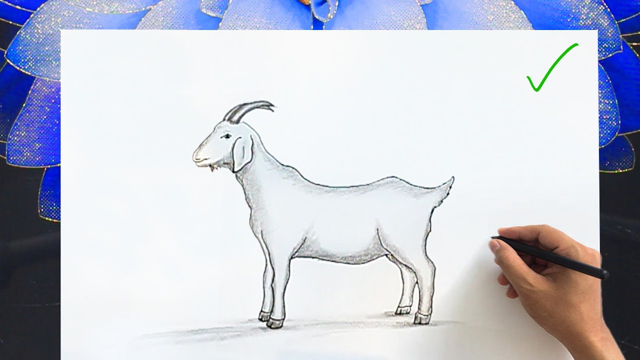 Simple Goat Drawing 🐐 | Animal drawing tutorial : How to draw a Goat