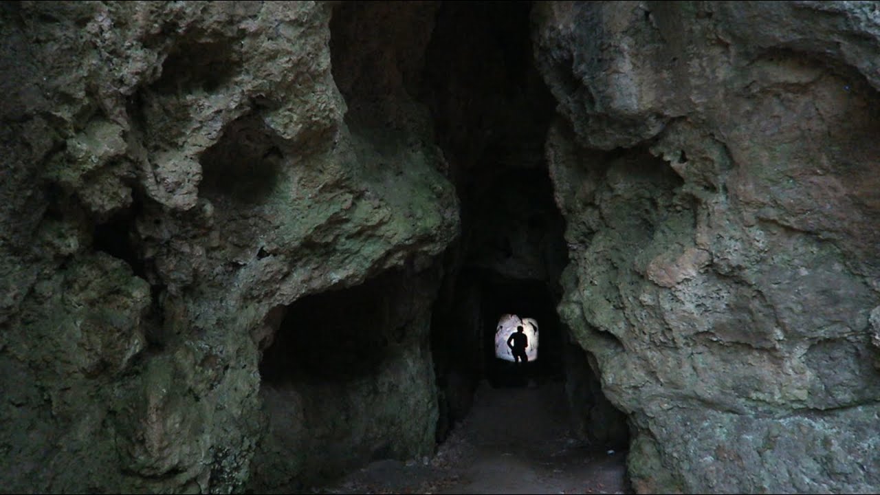 Im Schatten der Wächterburg