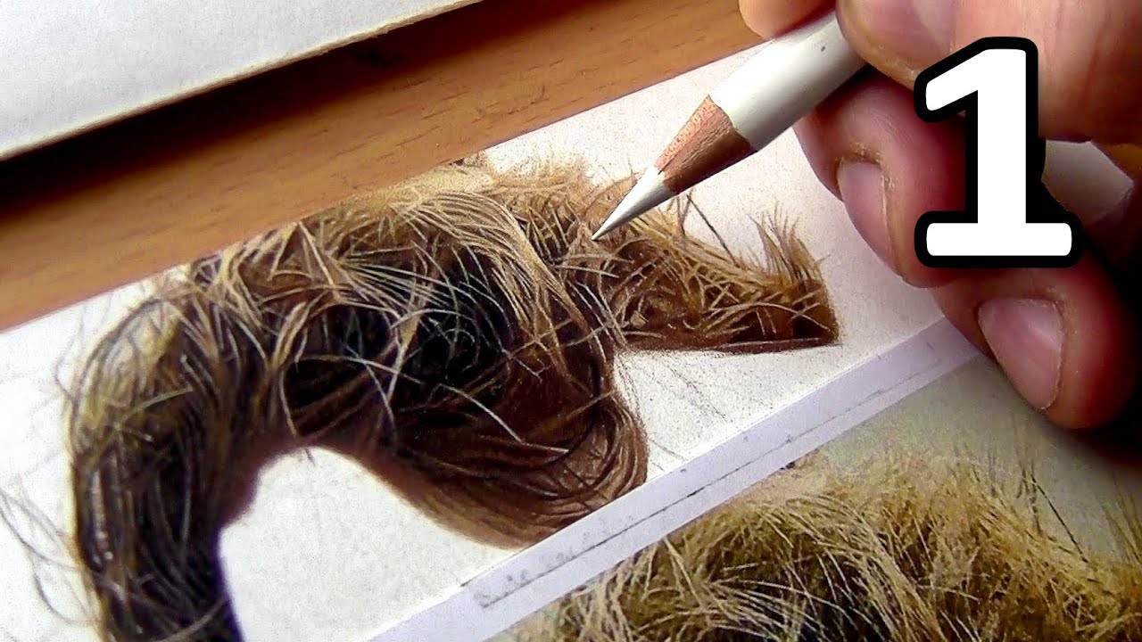 Near-Real-Time Realistic Hair Drawing | Part 1 | 10 Hours with Colored Pencils