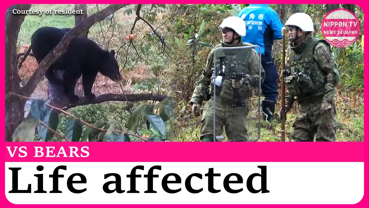 Employee killed, teachers concerned – how the rising bear attacks affect local lives