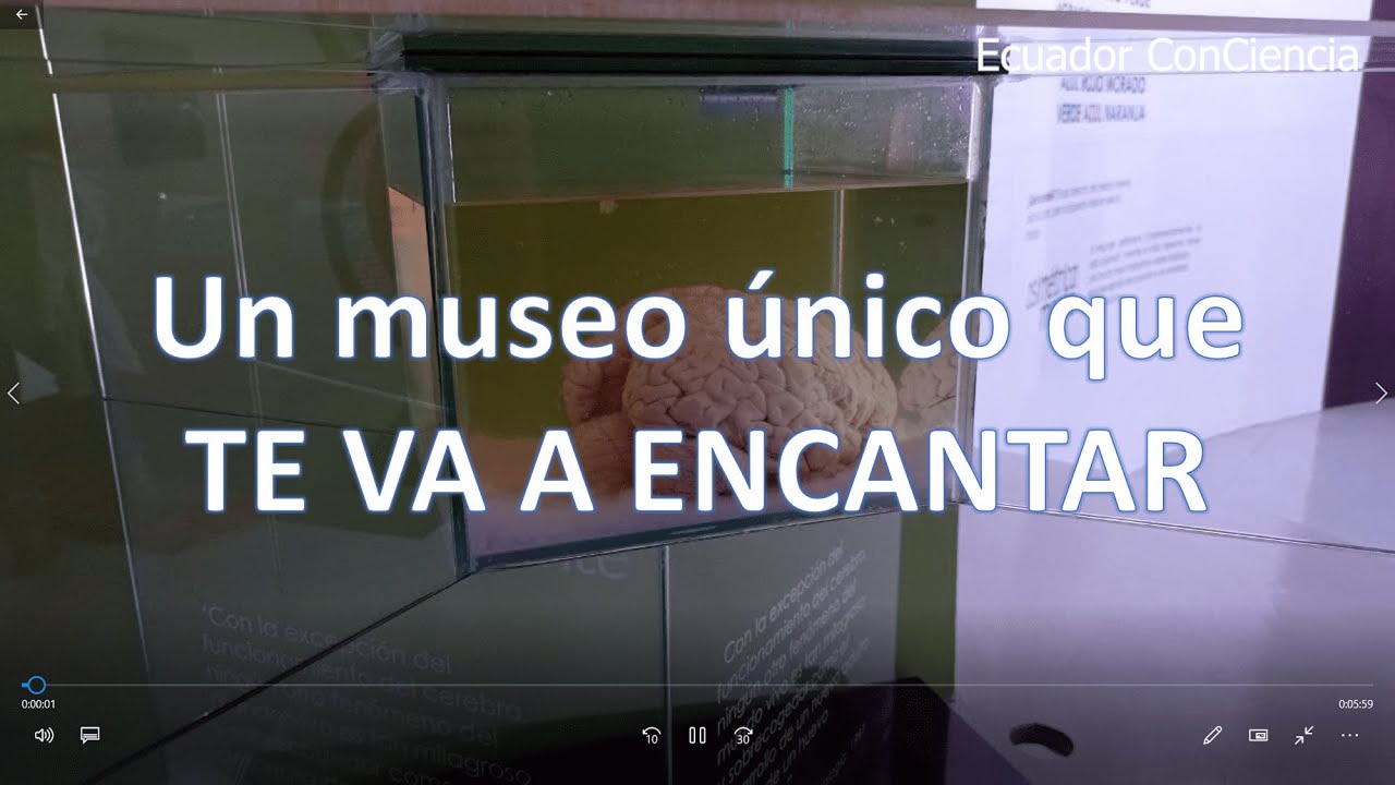 &iexcl;&iquest;Un cerebro real?! - Visitemos este museo en Quito