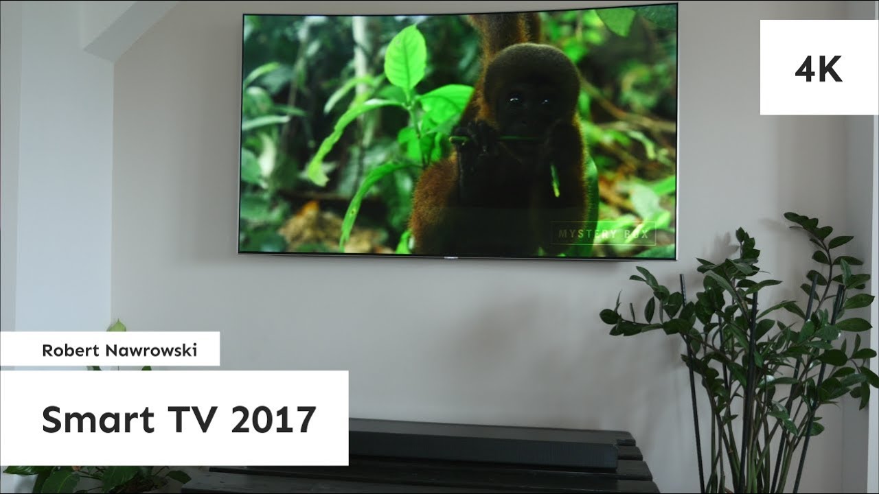 Smart TV 2017 w QLED Q8 65