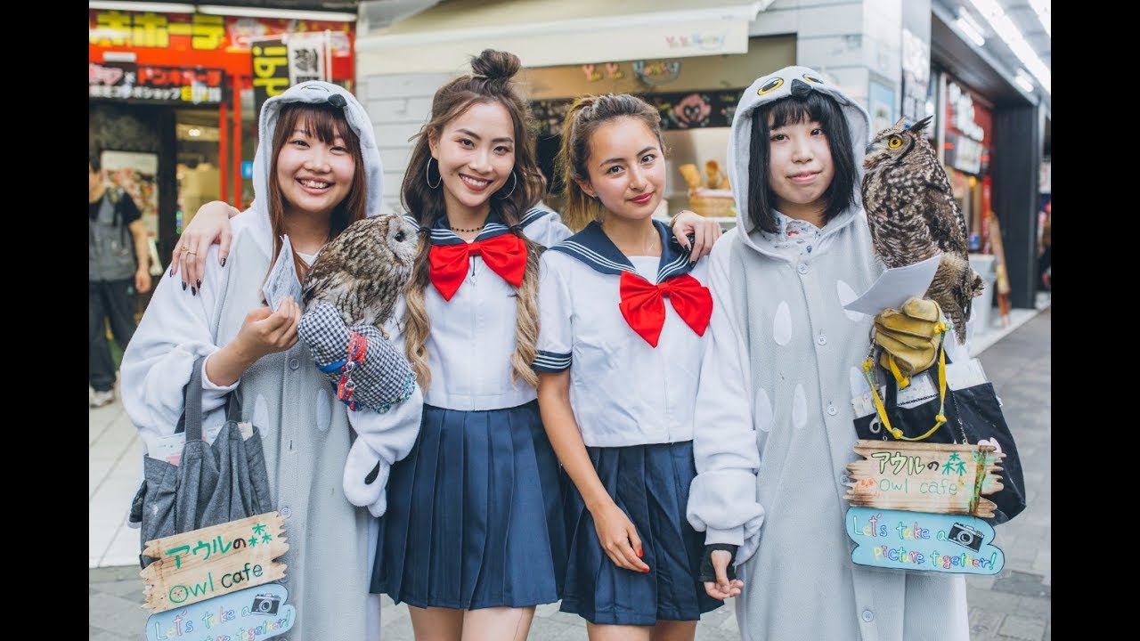 SONIA and JULIA cosplay? Now, that's HOOT! WING IT! Tokyo