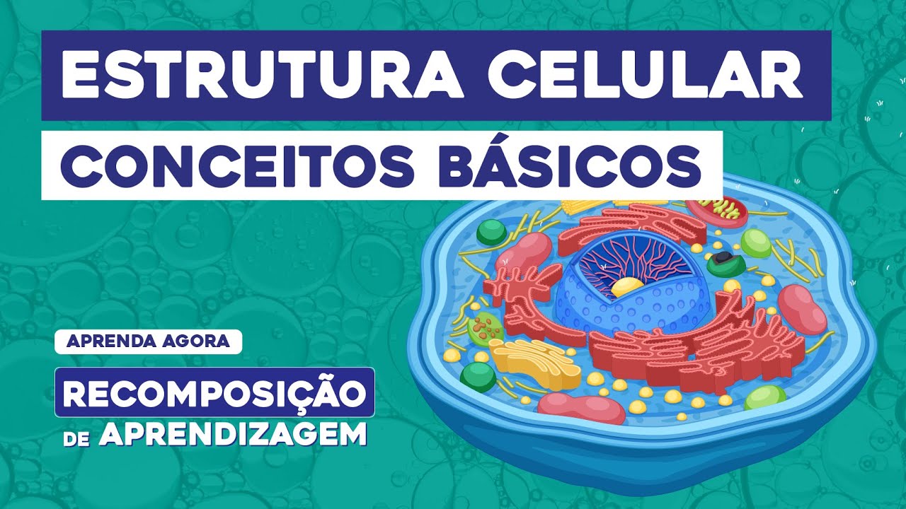 ESTRUTURA CELULAR: conceitos básicos | Recomposição de Aprendizagem | Cláudia de Souza Aguiar