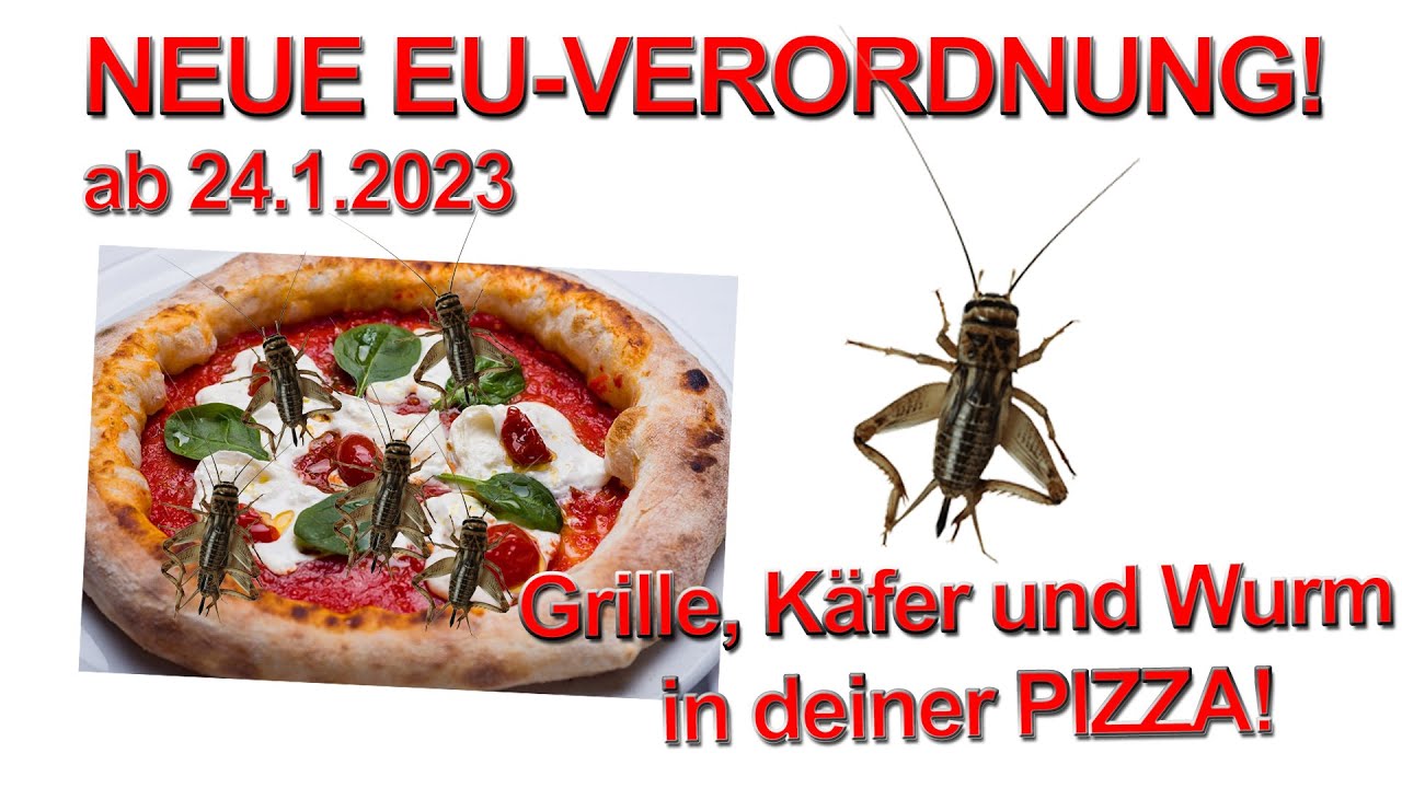 EKELALARM! NEUE EU-VERORDNUNG ab 24.1.2023! GETREIDESCHIMMELK&Auml;FER UND HAUSGRILLE BALD DEINEM ESSEN!