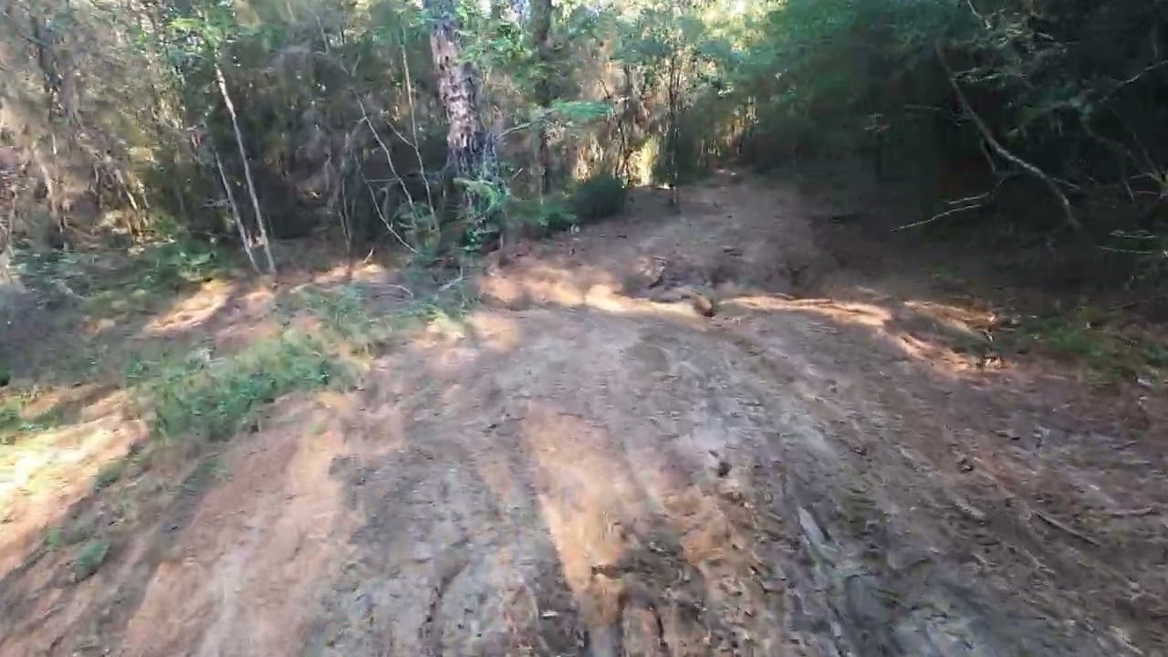 Riding @ Sam Houston National Forest, West Side .