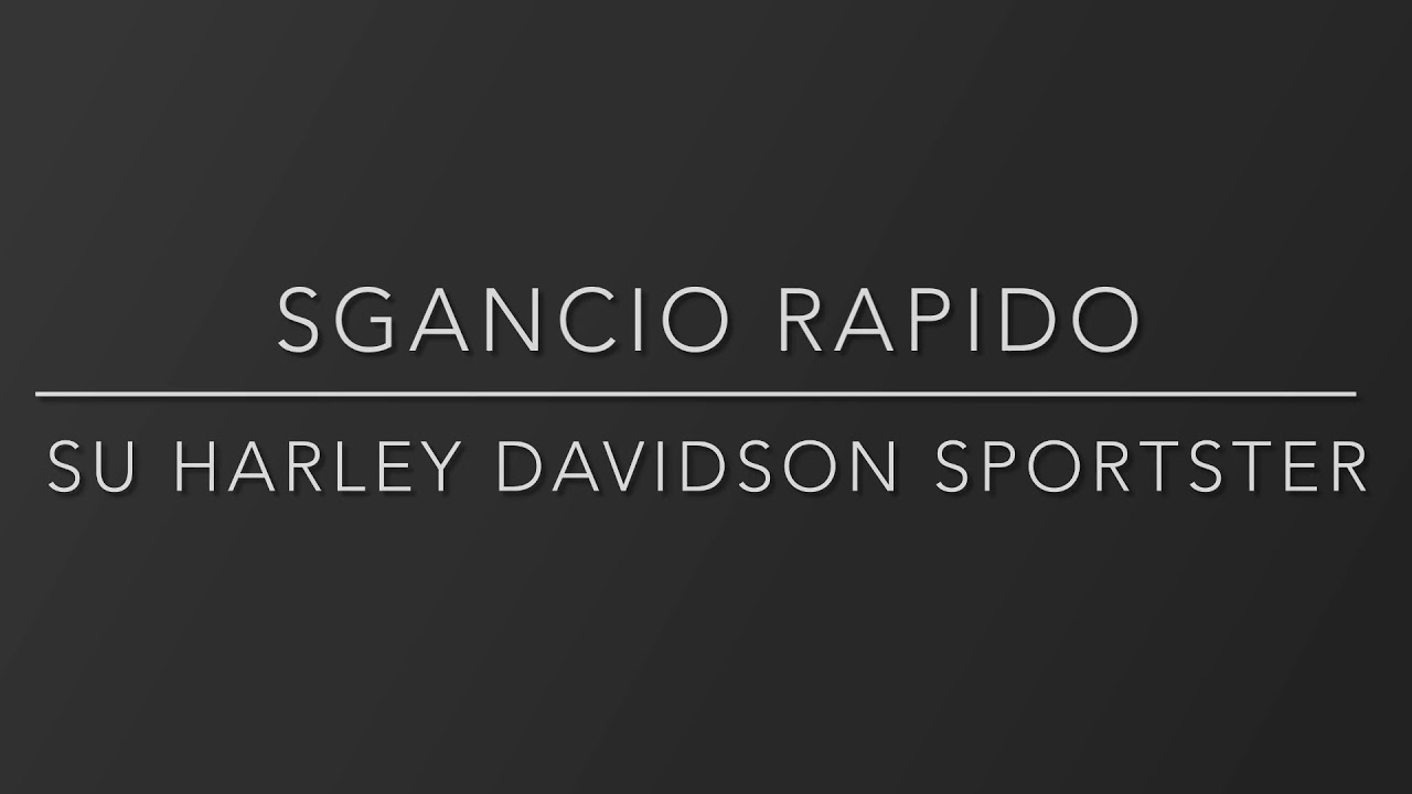Borsa a sgancio rapido per Harley Davidson Sportster