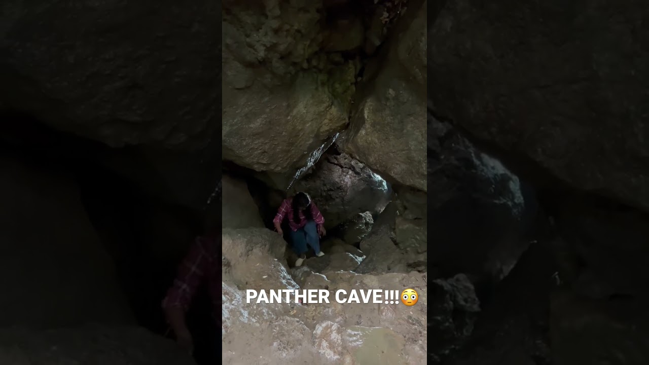 പുലിമടയിൽ!!!😳 #shorts #travel #uttarakhand #panther #dangerous #nainital #ladynomad#ladyvlogger