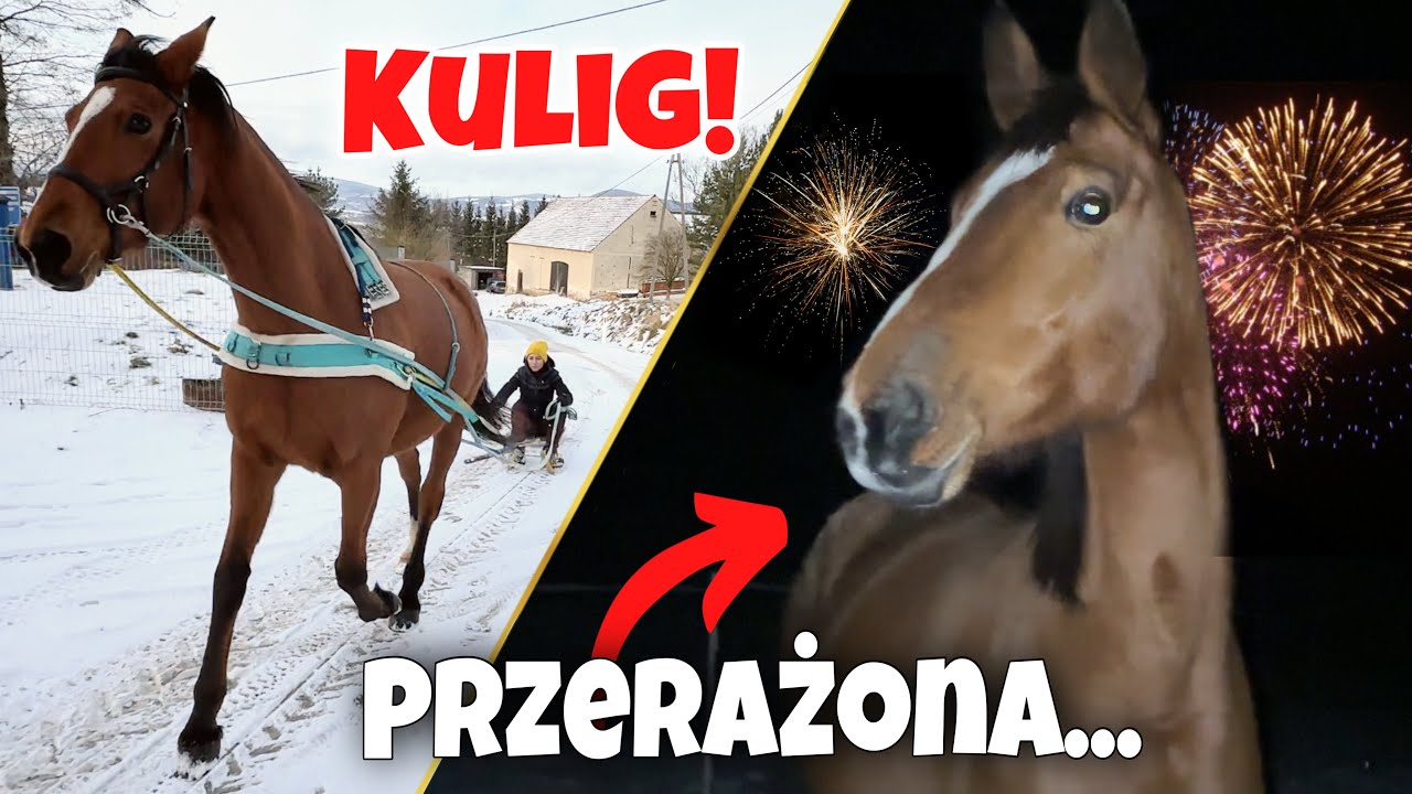 NOC  SYLWESTROWA Z KOŃMI, KULIG, NIE UDANY TEREN