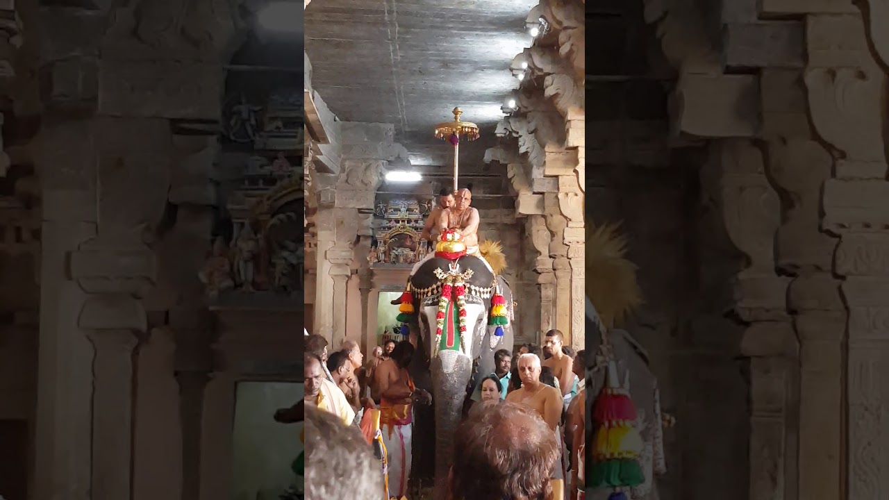 Srirangam Jeshtabishekam 15.07.2019