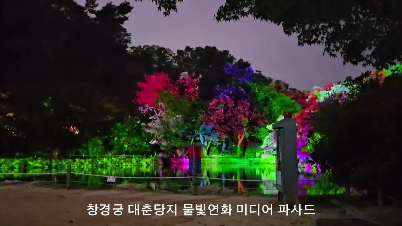 창경궁 야간개장/대춘당지 물빛연화/미디어파사드/