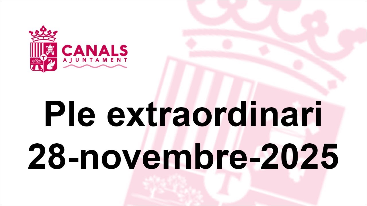 Ple Extraordinari del 28 de novembre de 2025