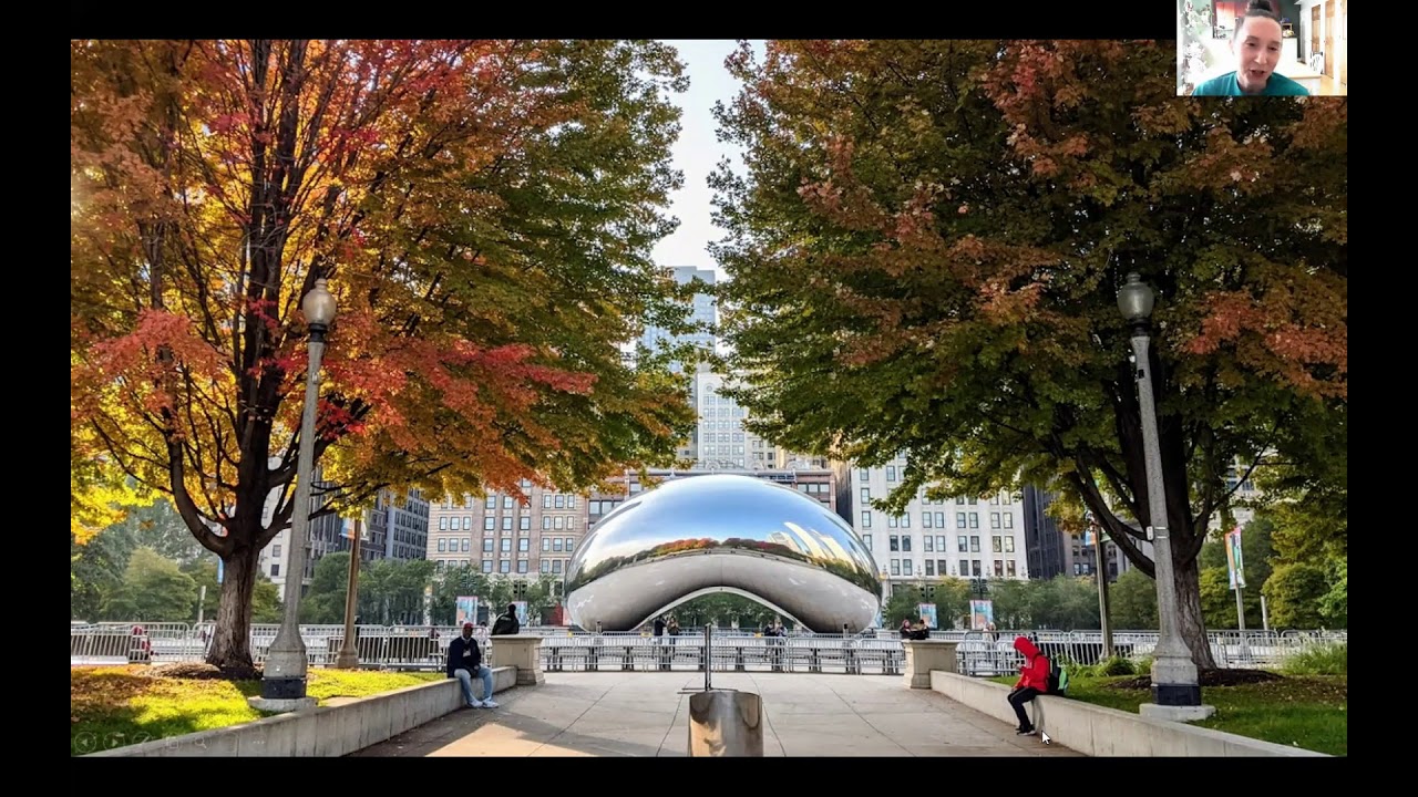 Virtual Chicago Tours with Inside Chicago Walking Tours:  The Bean
